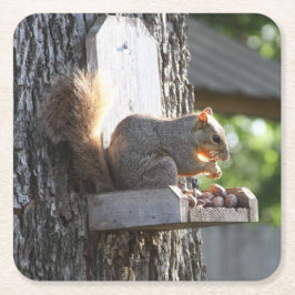 Eekhoorn Drink Onderschepper Kartonnen Onderzetters