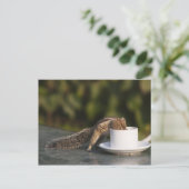 Eekhoorn drink van koffiebeker op Indiaas Briefkaart (Staand voorkant)