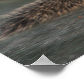 Eekhoorn drink van koffiebeker op Indiaas Poster (Hoek)