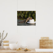 Eekhoorn drink van koffiebeker op Indiaas Poster (Keuken)