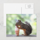 Eekhoorn Een ijsklok eten Briefkaart (Voorkant / Achterkant)