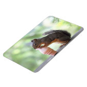 Eekhoorn Een ijsklok eten Magneet (Linkerzijde)