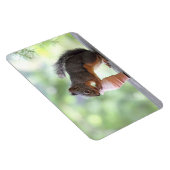 Eekhoorn Een ijsklok eten Magneet (Rechterzijde)