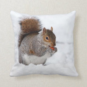 Eekhoorn Een notendoekje eten Kussen