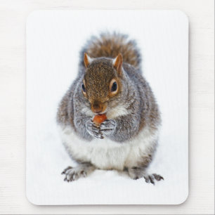 Eekhoorn eet een noot Schattige Winter Foto Muismat