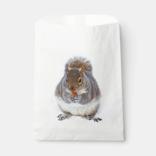 Eekhoorn Eet een Nut Cute Bedankzakje (Voorkant)