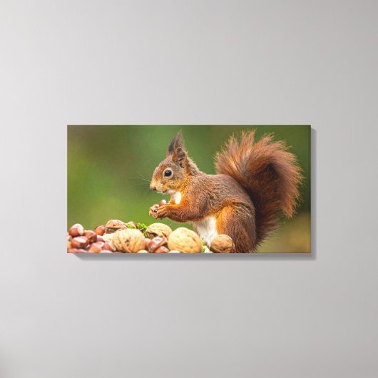 eekhoorn eet noot canvas afdruk (Voorkant)