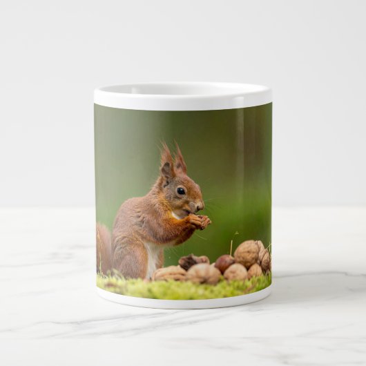 eekhoorn eet noot grote koffiekop (Voorkant)