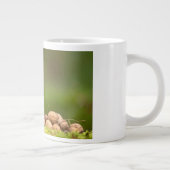eekhoorn eet noot grote koffiekop (Rechts)