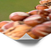 eekhoorn eet noot poster (Hoek)