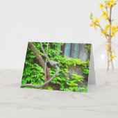 eekhoorn en blanco wijnstokken Wenskaart Kaart (Gele Bloem)