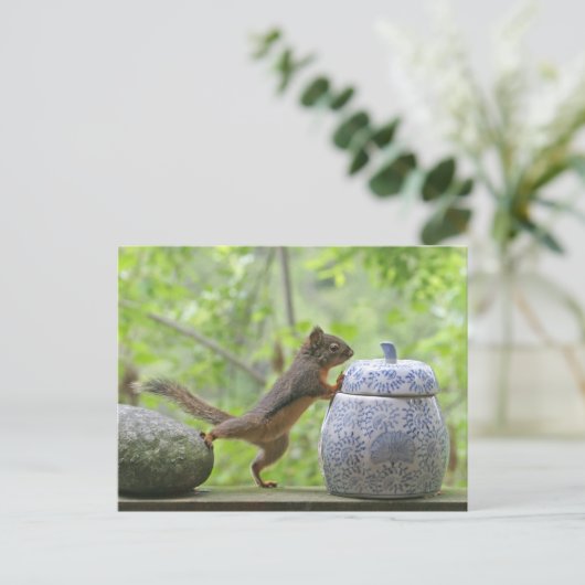 Eekhoorn en koekje Jar Briefkaart (Staand voorkant)