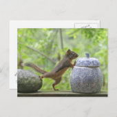 Eekhoorn en koekje Jar Briefkaart (Voorkant / Achterkant)