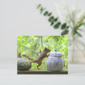 Eekhoorn en koekje Jar Briefkaart (Staand voorkant)