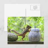 Eekhoorn en koekje Jar Briefkaart (Voorkant / Achterkant)