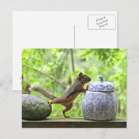 Eekhoorn en koekje Jar Briefkaart (Voorkant / Achterkant)