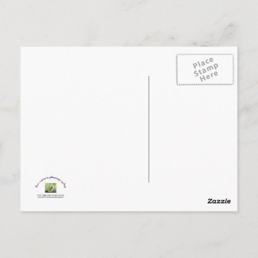 Eekhoorn en koekje Jar Briefkaart (Achterkant)