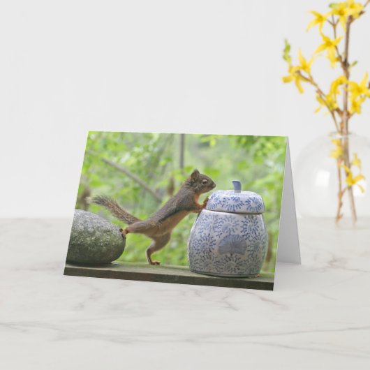 Eekhoorn en Koekjestrommel Kaart (Gele Bloem)