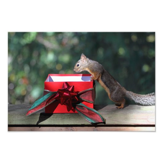 Eekhoorn en open Cadeau Foto Afdruk (Voorkant)
