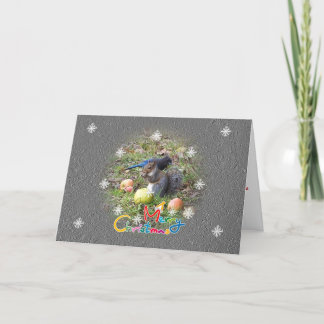 Eekhoorn en Steller Jay Vriend Kerst Kaart