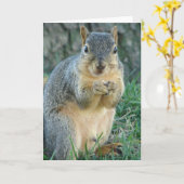 Eekhoorn eten eikels alle gelegenheden kaart (Gele Bloem)
