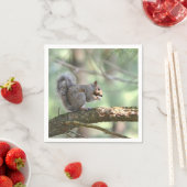 Eekhoorn eten lunch papier servet (Insitu)