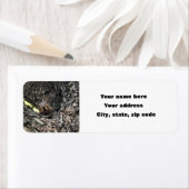 eekhoorn etiket (Insitu)