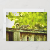 eekhoorn feestdagenkaart (Voorkant)