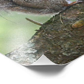 Eekhoorn Foto afdrukken (Hoek)