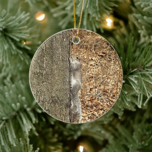 Eekhoorn Foto Ornament  (Boom)