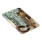 Eekhoorn foto TOEVOEGEN Magneet (Rechterzijde)