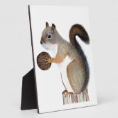 eekhoorn fotoplaat (Zijkant)