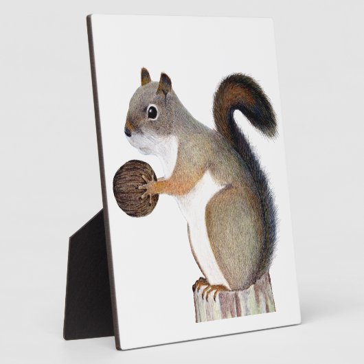 eekhoorn fotoplaat (Zijkant)