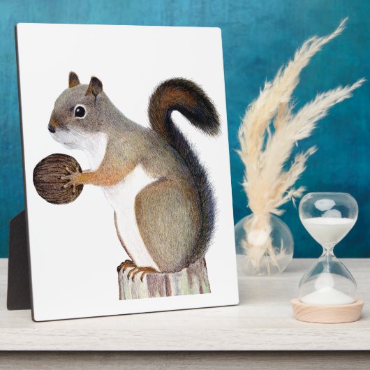 eekhoorn fotoplaat (Zijkant)