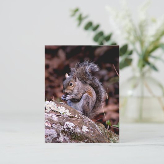 Eekhoorn geniet van zijn maaltijden briefkaart (Staand voorkant)