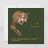 Eekhoorn/Gestreepte grondeekhoorn risingdove.com (Achterkant)