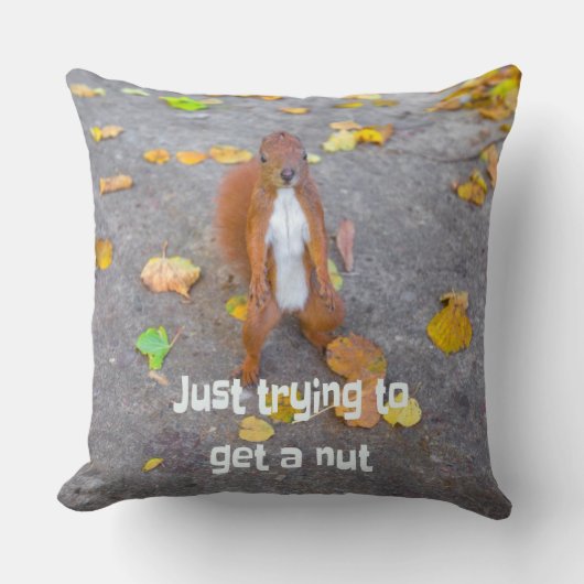 Eekhoorn... gewoon een noot halen kussen (Voorkant)