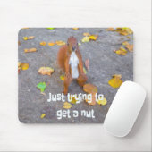 Eekhoorn... gewoon een noot halen muismat (Met muis)