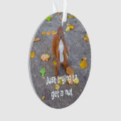 Eekhoorn... gewoon een noot halen ornament (voorkant)