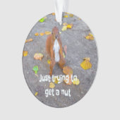 Eekhoorn... gewoon een noot halen ornament (voorkant)