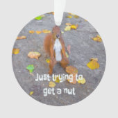 Eekhoorn... gewoon een noot halen ornament (voorkant)