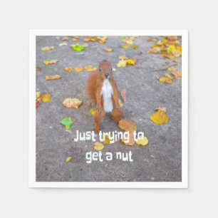 Eekhoorn... gewoon een noot halen servet