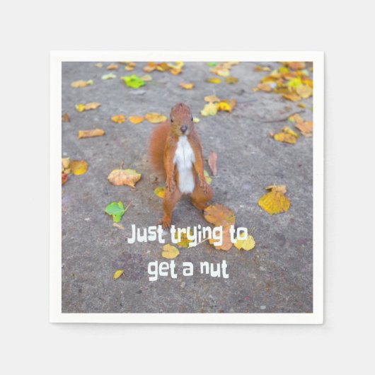 Eekhoorn... gewoon een noot halen servet (Voorkant)