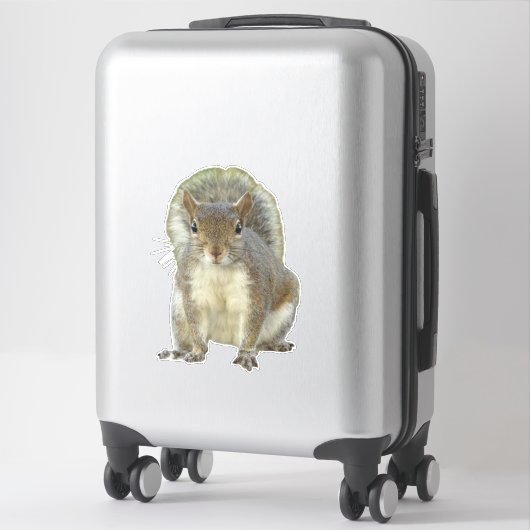 Eekhoorn gezicht tegen gezicht sticker (Koffer)