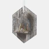 eekhoorn glas ornament (Voorkant links)