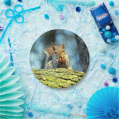 Eekhoorn (grijs) bord (Feest)