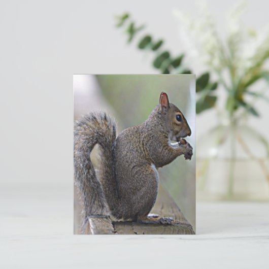 Eekhoorn (grijs) briefkaart (Staand voorkant)