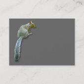 Eekhoorn - Grijs Visitekaartje (Achterkant)