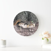 eekhoorn grote klok (Huis)