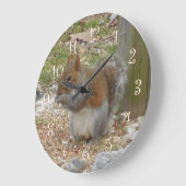 Eekhoorn Grote Klok (Hoek)